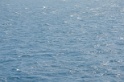 Delphine 017